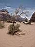 Wadi Rum 10